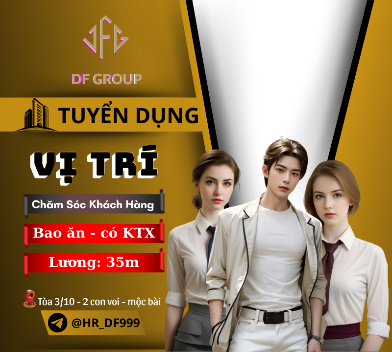 lĩnh vực hoạt động